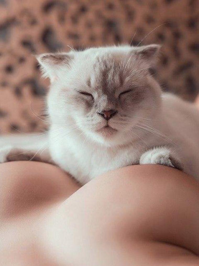 БДСМ проститутка Юля, рост: 151, вес: 42